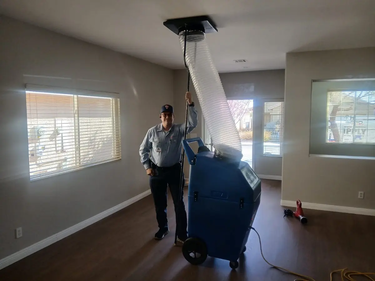 Professional Dryer Vent Cleaning work inside a Jefferson Hills home